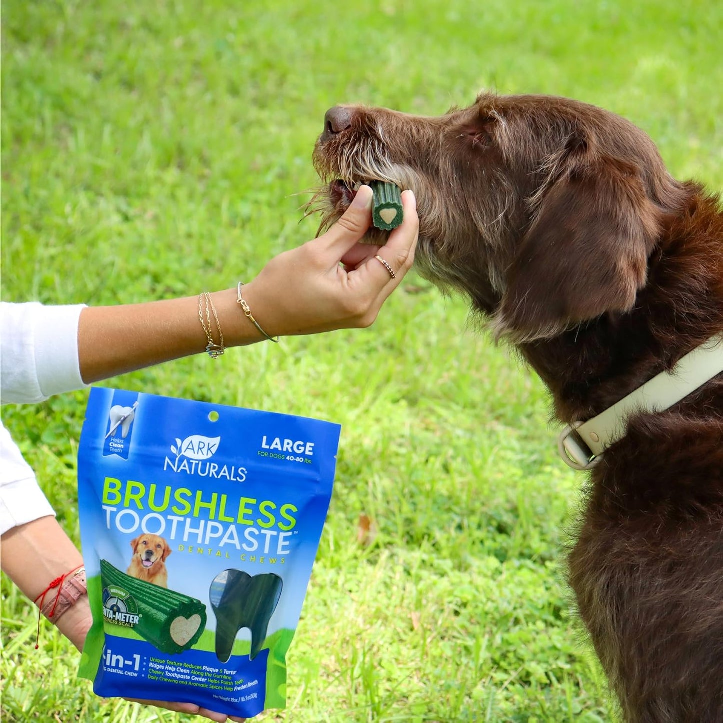 Ark Naturals Brushless Toothpaste – Dog Dental Chews for Large & Small Breeds